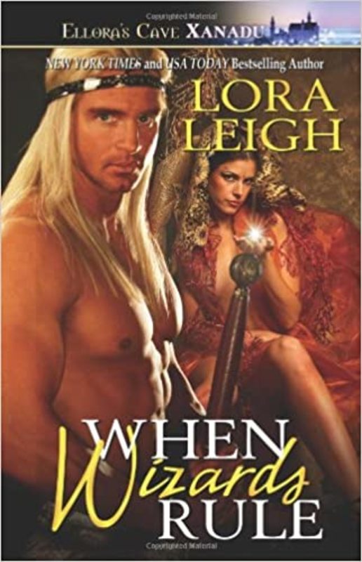 Wizard Twins book cover