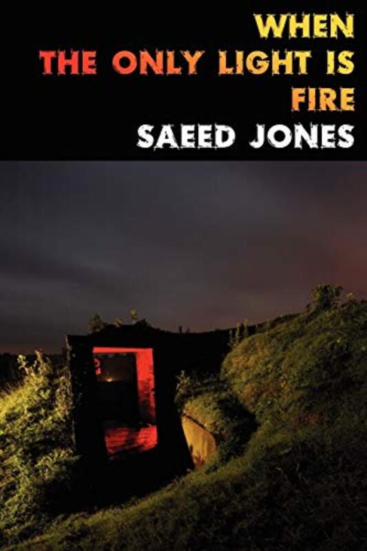 Book cover for "When the Only Light Is Fire" by Saeed Jones