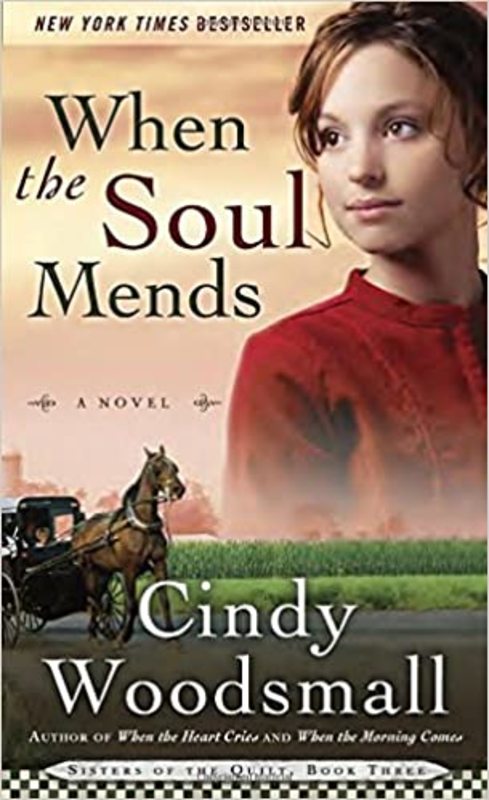 Book cover for "When the Soul Mends" by Cindy Woodsmall
