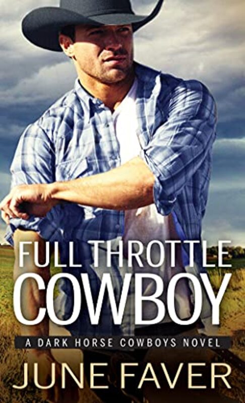 Book cover for "When to Call a Cowboy" by June Faver