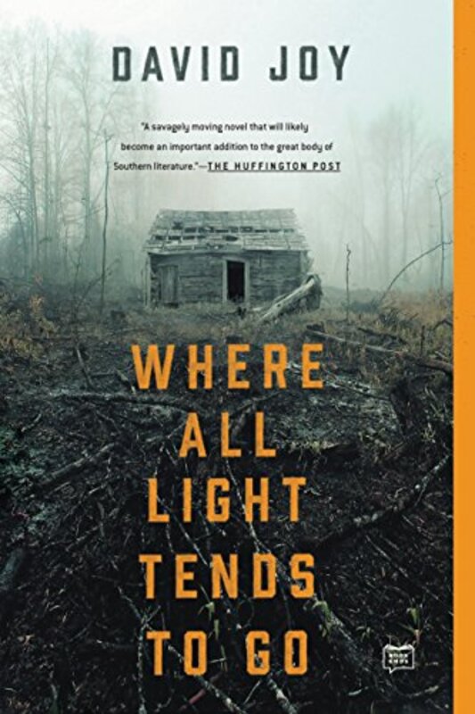 Book cover for "Where All Light Tends to Go" by David Joy