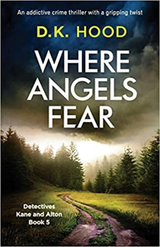 Book cover for "Where Angels Fear" by DK Hood