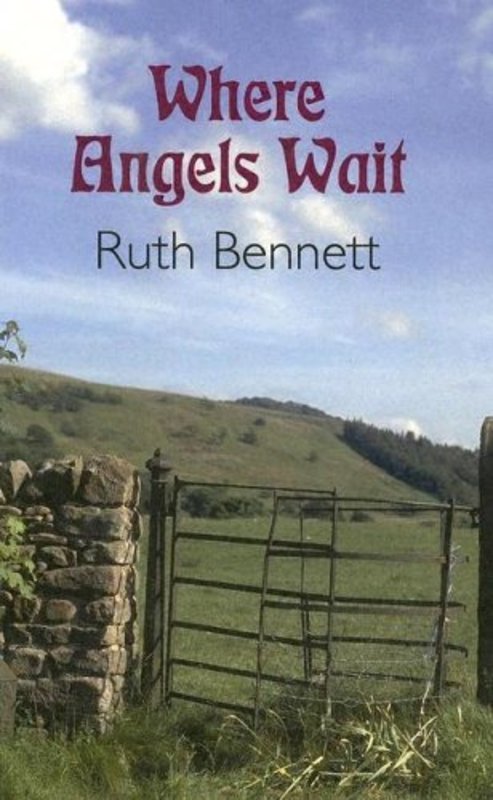Book cover for "Where Angels Wait" by Shirley Wells