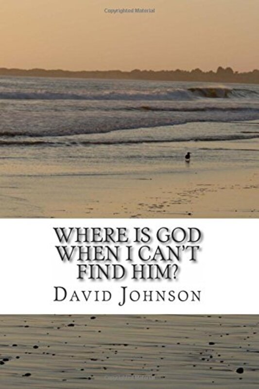 Book cover for "Where Is God When I Can't Find Him?" by David Johnson