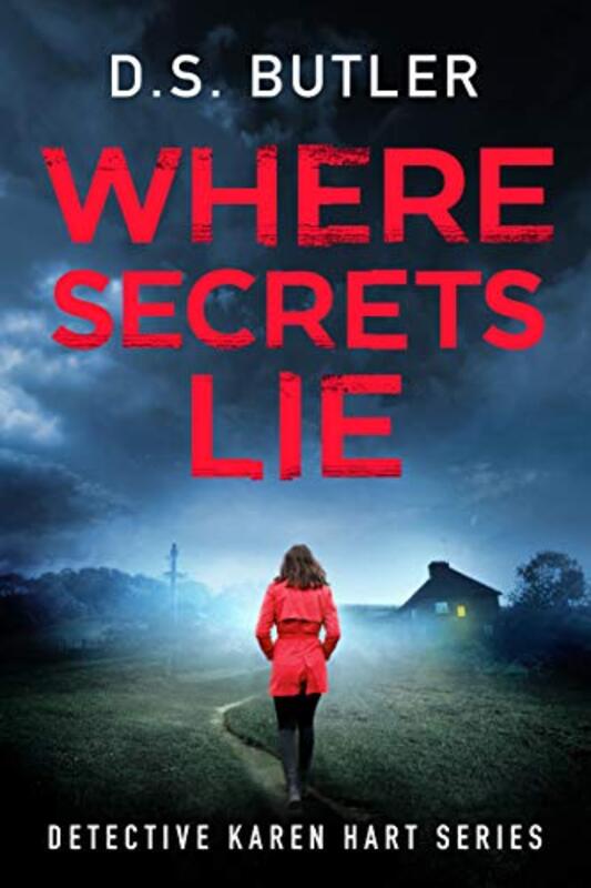 Book cover for "Where Secrets Lie" by DS Butler