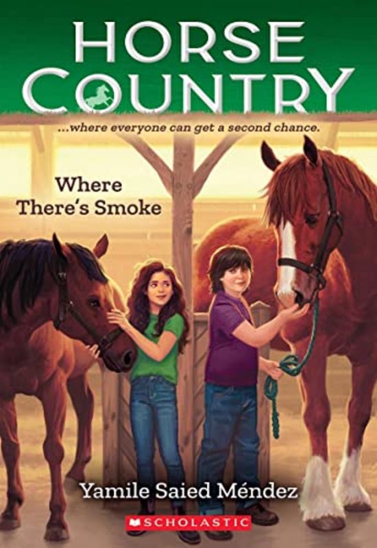 Book cover for "Where There's Smoke" by Yamile Saied Mendez