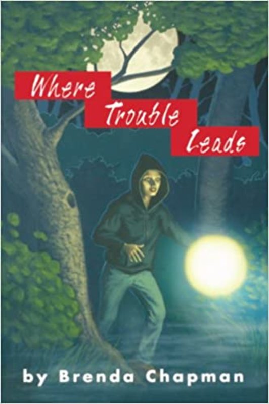 Book cover for "Where Trouble Leads" by Brenda Chapman