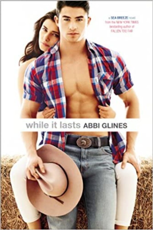 Book cover for "While It Lasts" by Abbi Glines