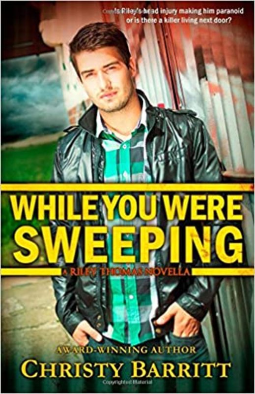 Book cover for "While You Were Sweeping" by Christy Barritt
