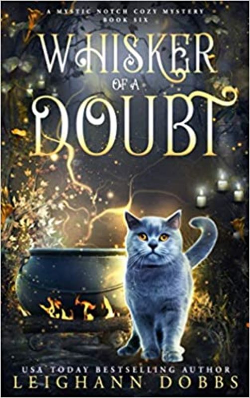 Book cover for "Whisker of a Doubt" by Leighann Dobbs