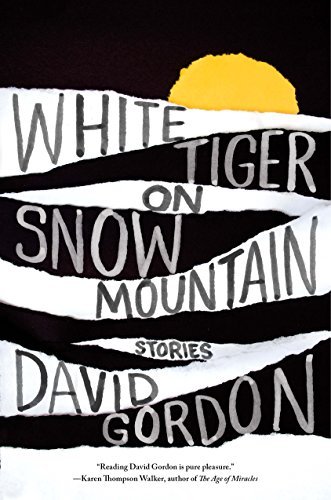 Book cover for "White Tiger on Snow Mountain" by David Gordon