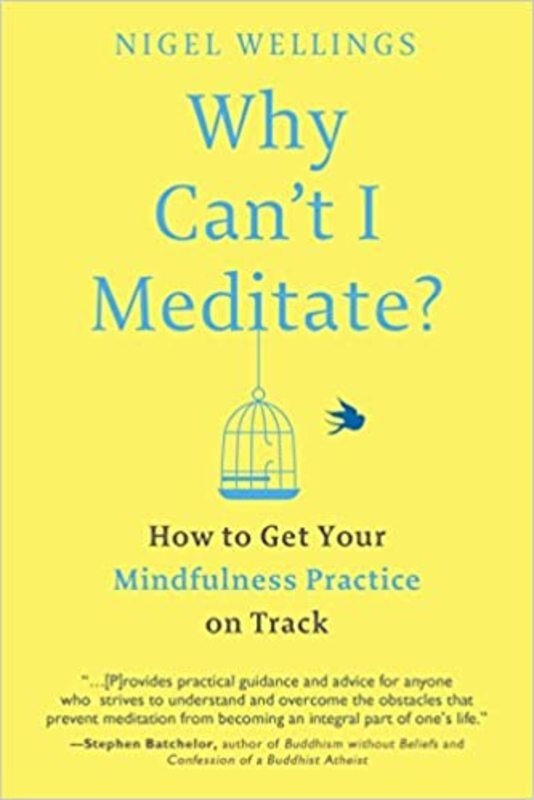 Book cover for "Why Can't I Meditate?" by Nigel Wellings