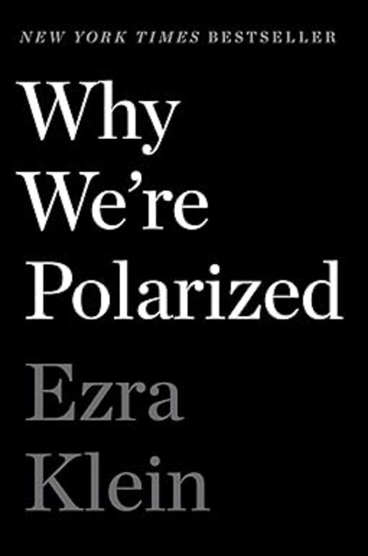 Book cover for "Why We're Polarized"
