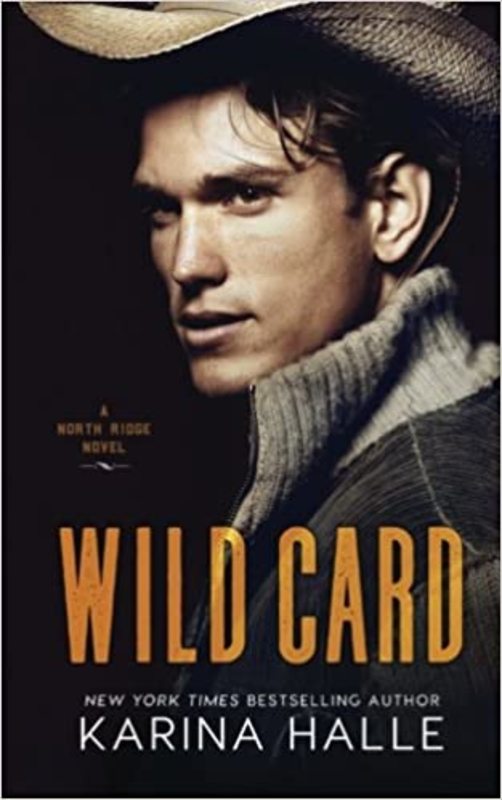 North Ridge book cover