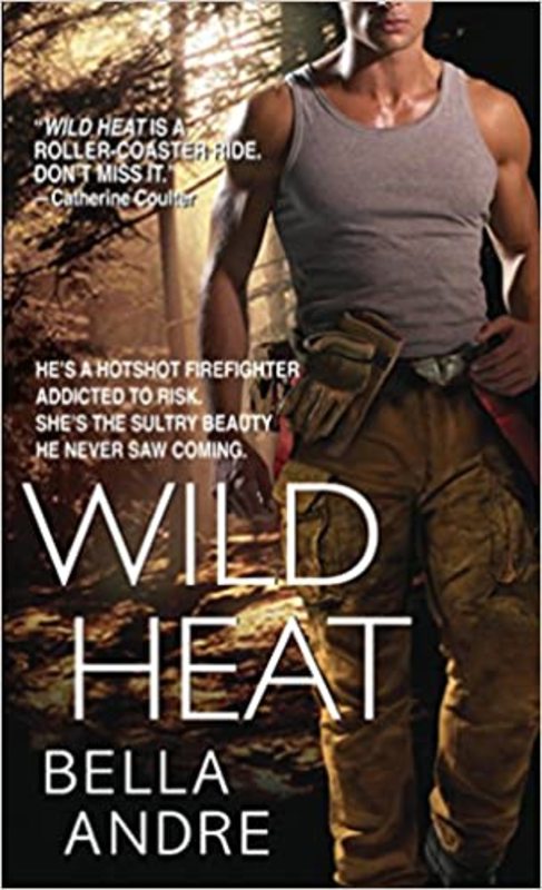 Hot Shots Men of Fire book cover
