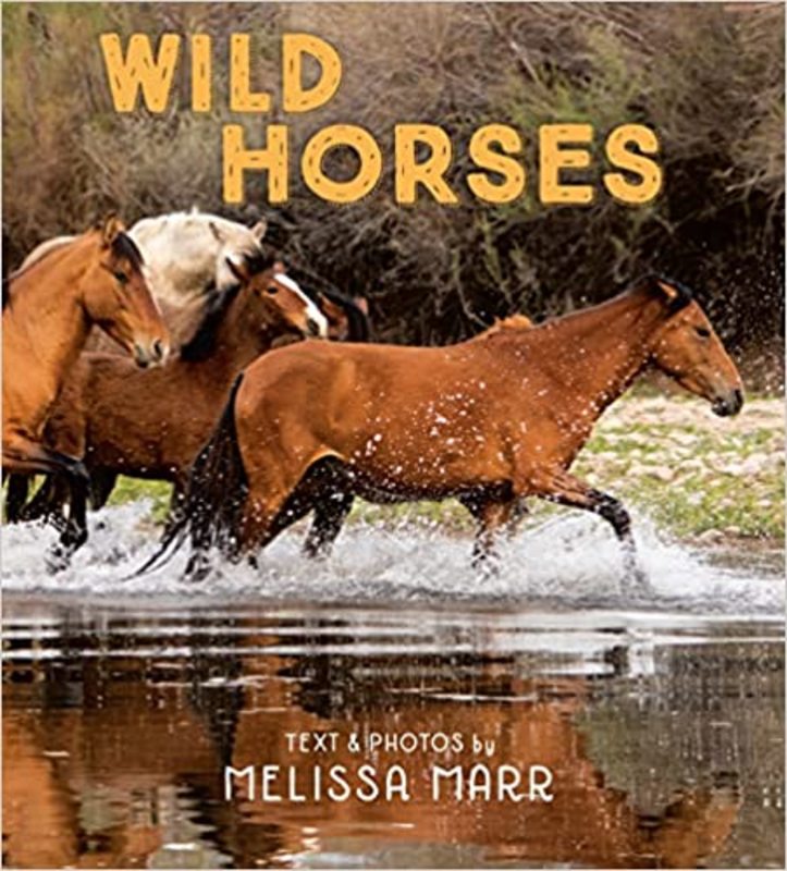 Book cover for "Wild Horses" by Melissa Marr