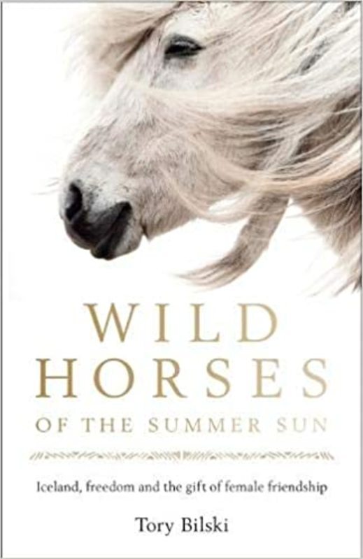Book cover for "Wild Horses of the Summer Sun" by Tory Bilski