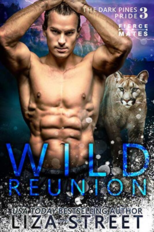 Book cover for "Wild Reunion" by Liza Street