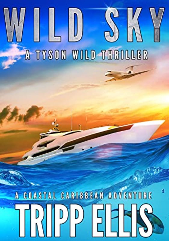 Book cover for "Wild Sky" by Tripp Ellis