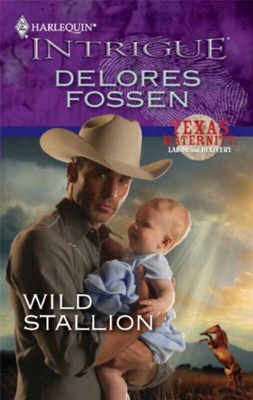 Book cover for "Wild Stallion" by Delores Fossen