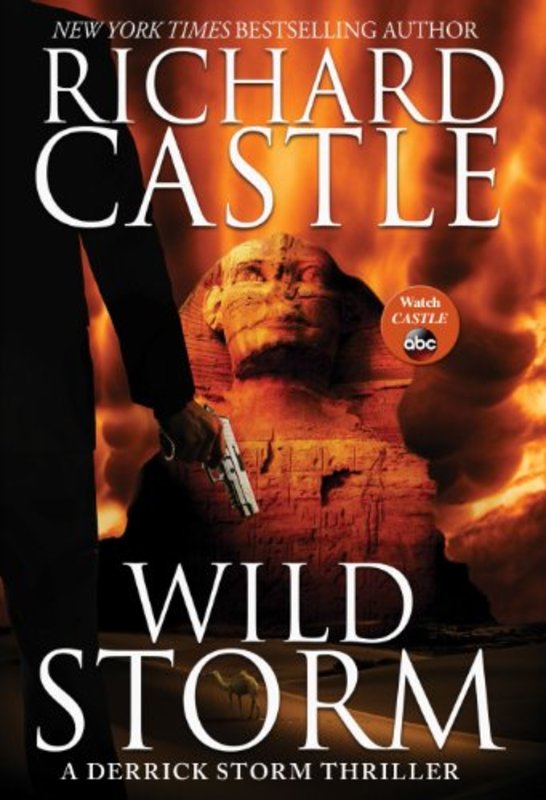Book cover for "Wild Storm" by Richard Castle