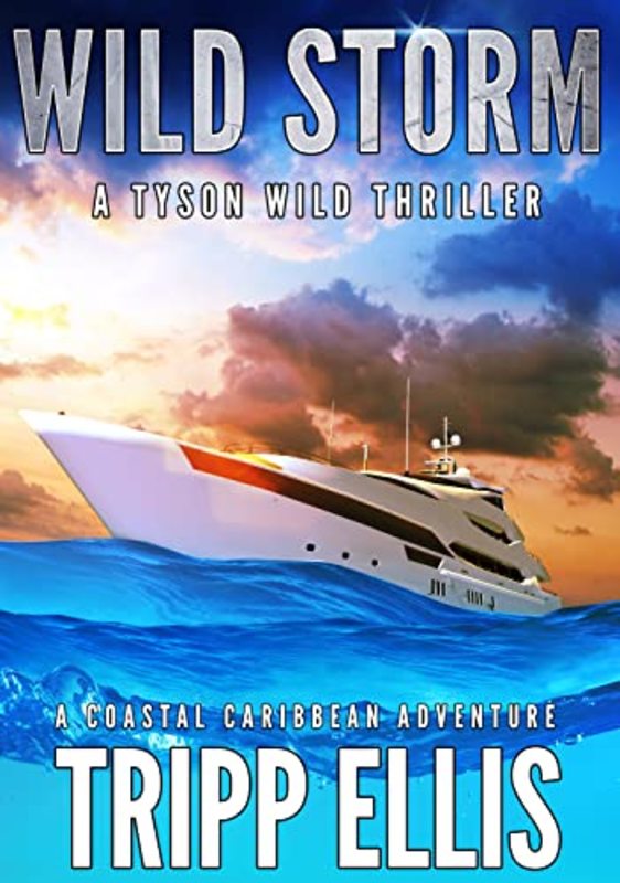 Book cover for "Wild Storm" by Tripp Ellis