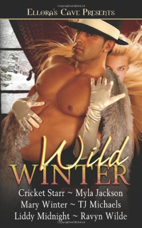 Book cover for "Wild Winter" by Myla Jackson