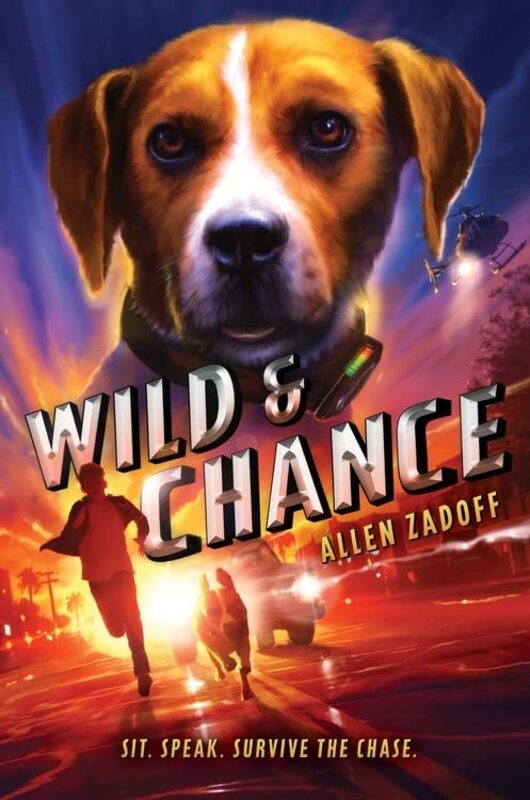 Allen Zadoff book cover
