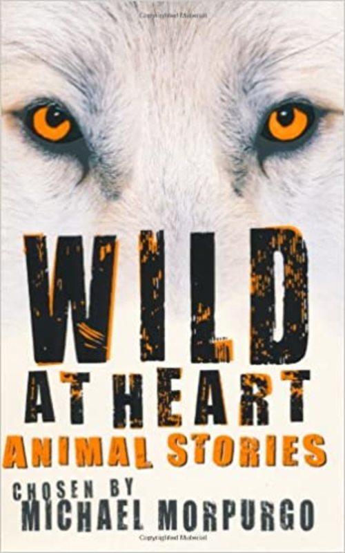 Book cover for "Wild at Heart" by Michael Morpurgo
