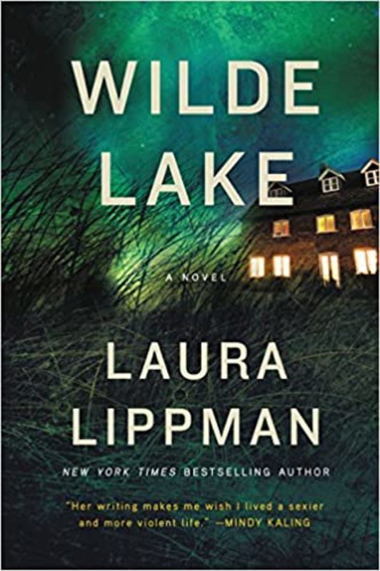 Book cover for "Wilde Lake" by Laura Lippman
