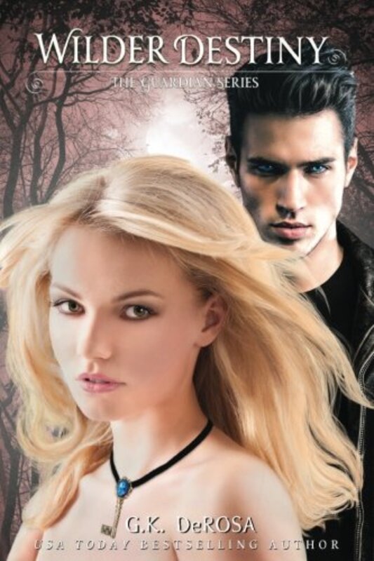 Book cover for "Wilder Destiny" by GK DeRosa