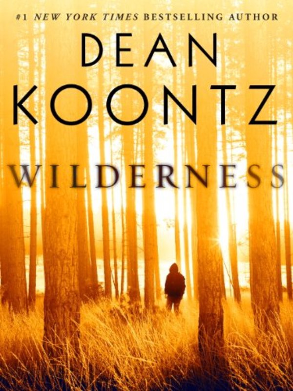 Innocence book cover