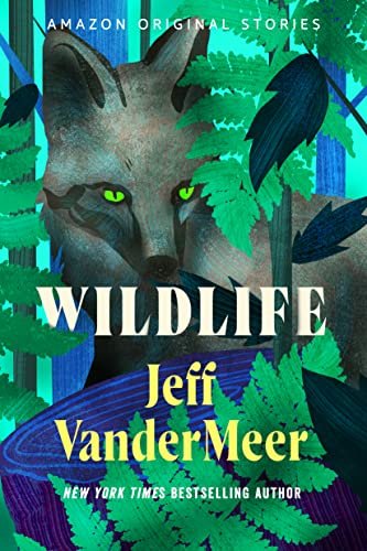 Jeff VanderMeer book cover