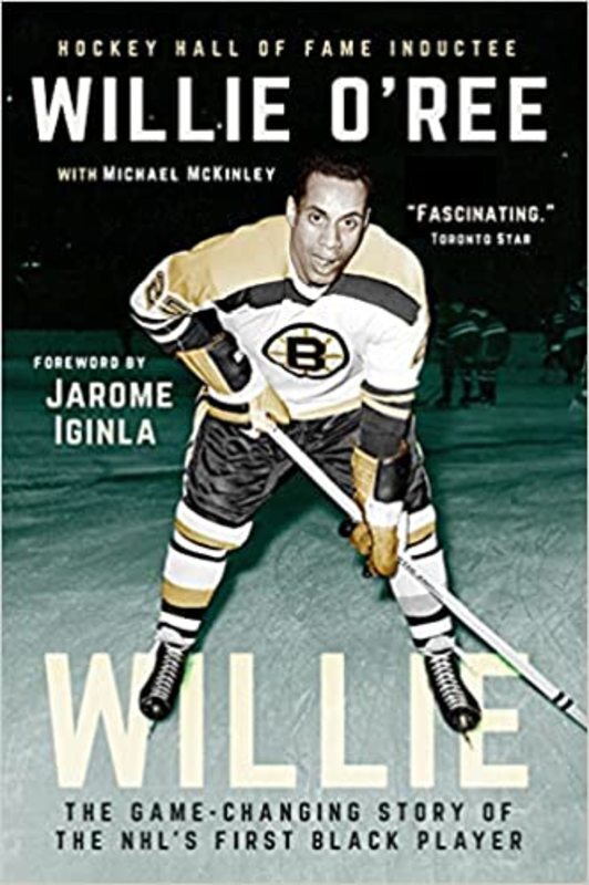 Book cover for "Willie" by Michael McKinley