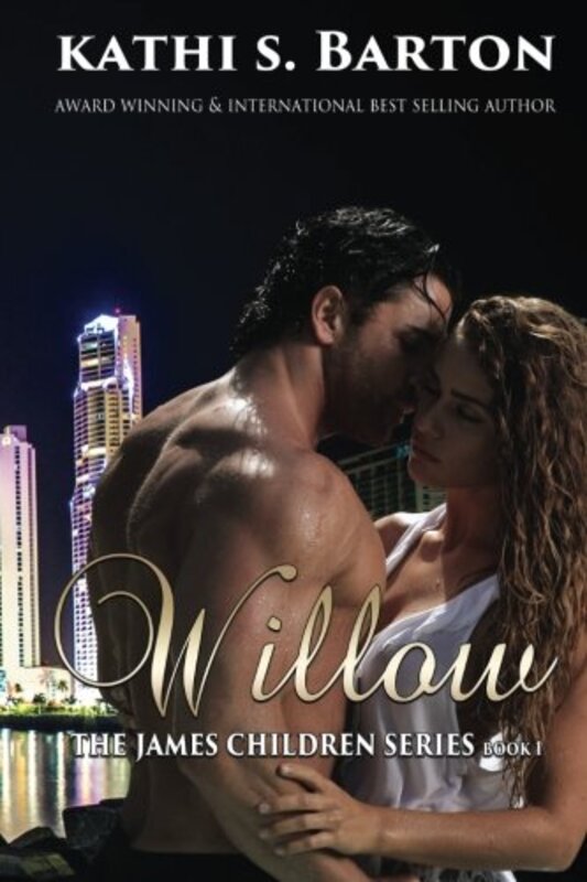 Book cover for "Willow" by Kathi S Barton