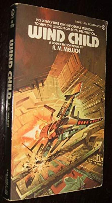 Book cover for "Wind Child" by RM Meluch
