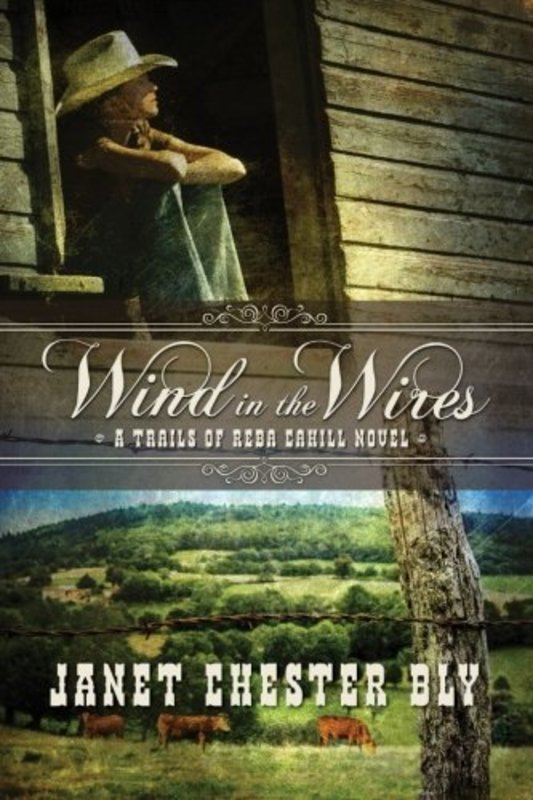 Book cover for "Wind in the Wires" by Stephen and Janet Bly