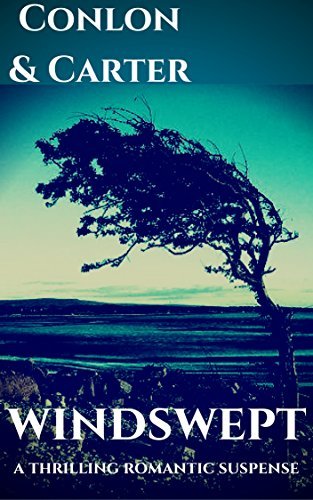 Book cover for "Windswept" by Solomon Carter