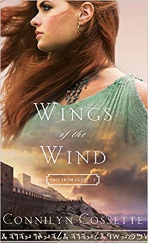 Book cover for "Wings of the Wind" by Connilyn Cossette