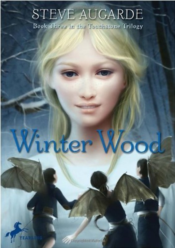 Book cover for "Winter Wood" by Steve Augarde