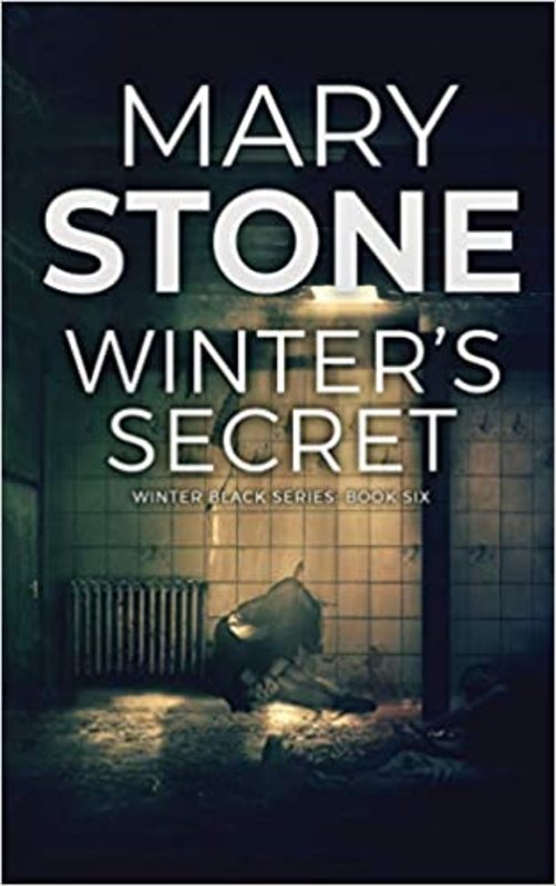 Book cover for "Winter's Secret" by Mary Stone