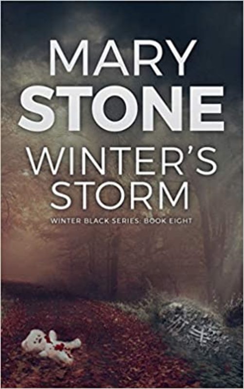 Book cover for "Winter's Storm" by Mary Stone