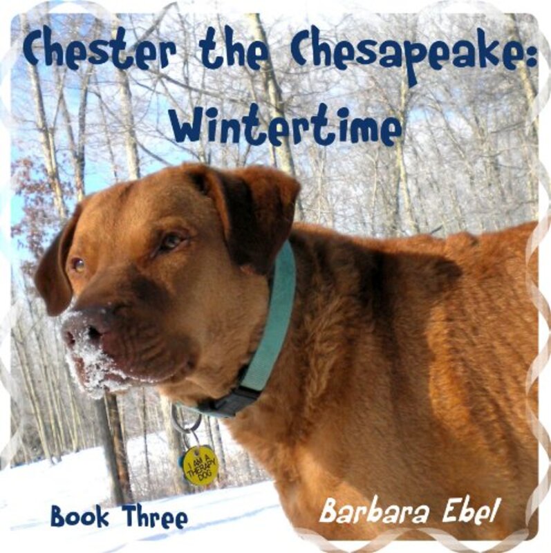 Book cover for "Wintertime" by Barbara Ebel