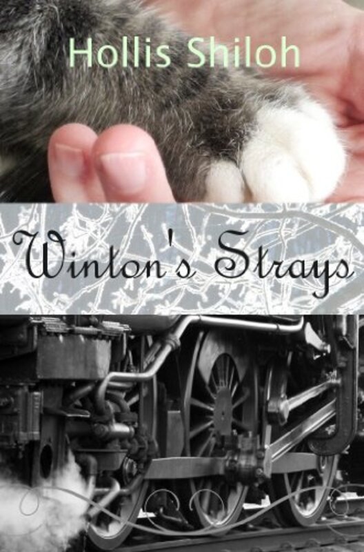 Book cover for "Winton's Strays" by Hollis Shiloh