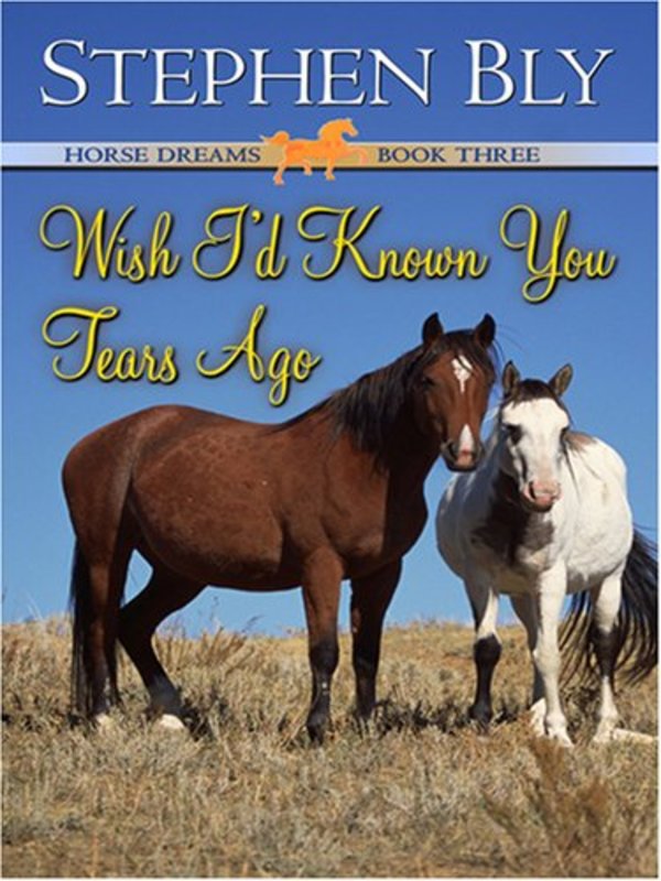 Book cover for "Wish I'd Known You Tears Ago" by Stephen Bly