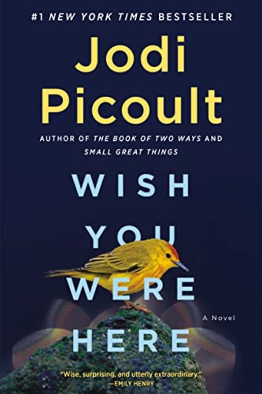 Book cover for "Wish You Were Here"
