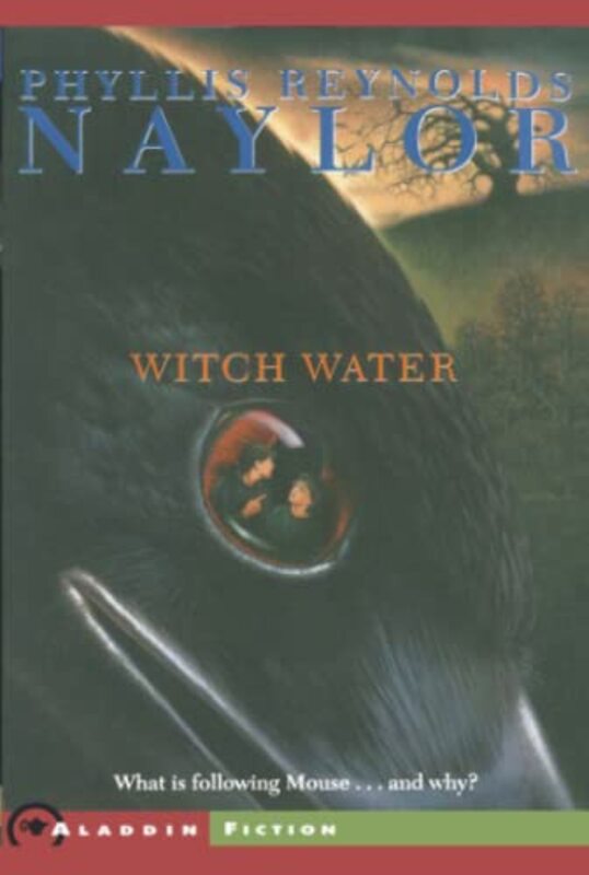 Book cover for "Witch Water" by Phyllis Reynolds Naylor