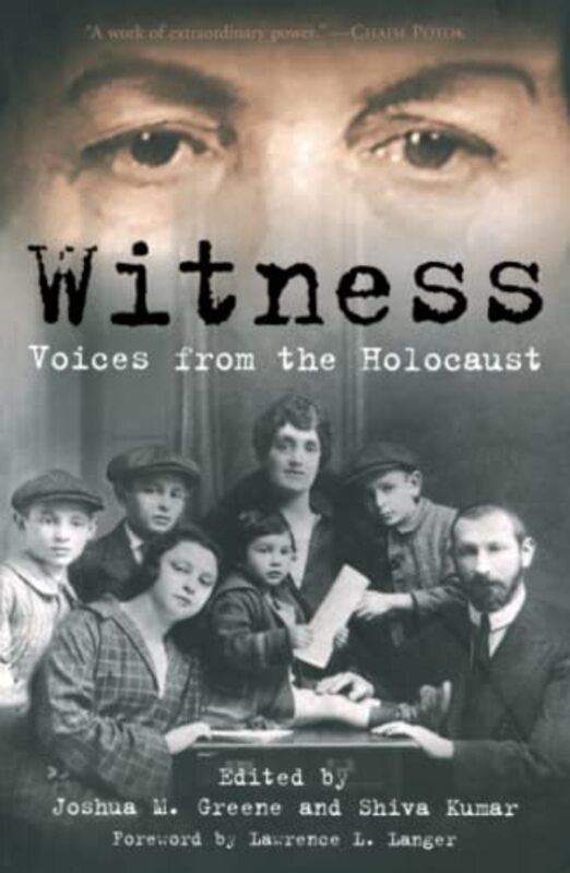 Book cover for "Witness" by Joshua M Greene