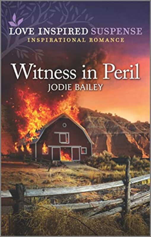 Jodie Bailey book cover