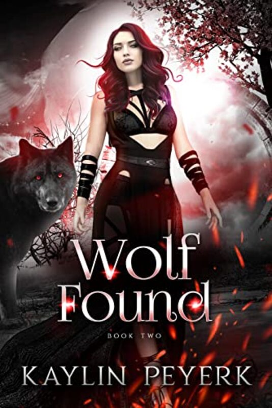 Kaylin Peyerk book cover